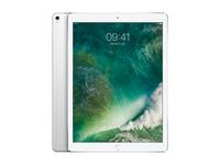 produkt-foto van 'iPad Pro - 12,9", 32,8 cm, 256gb, WiFi + 4g, silver (zilver)'