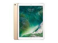 produkt-foto van 'iPad Pro - 12,9", 32,8 cm, 256gb, WiFi + 4g, gold (goud)'